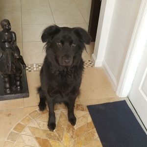 Meet your Posher, Nicolas